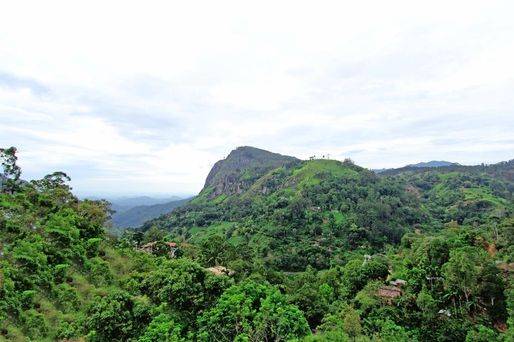 Mount Blue View Guest Inn Ella Bagian luar foto