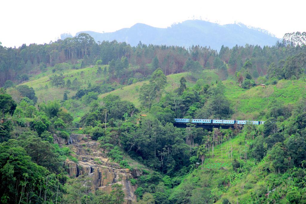 Mount Blue View Guest Inn Ella Bagian luar foto