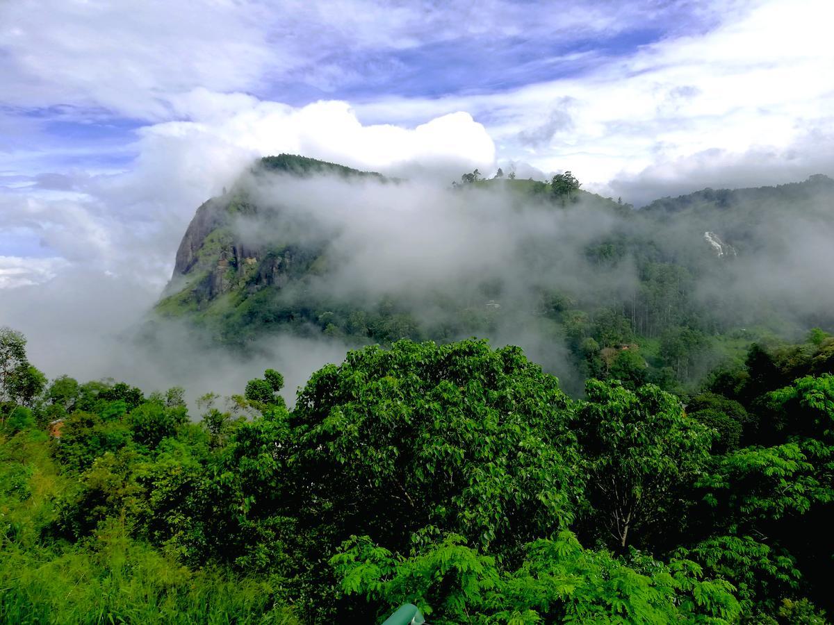 Mount Blue View Guest Inn Ella Bagian luar foto