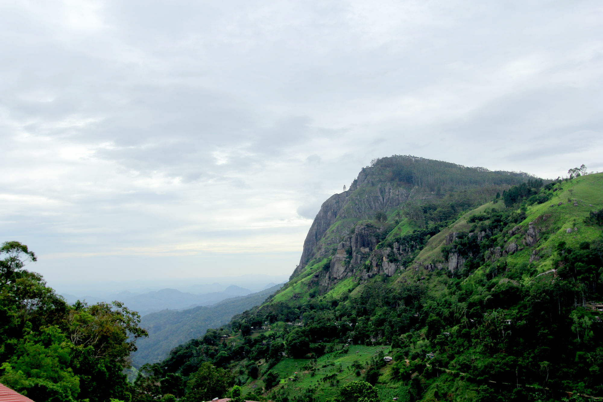 Mount Blue View Guest Inn Ella Bagian luar foto