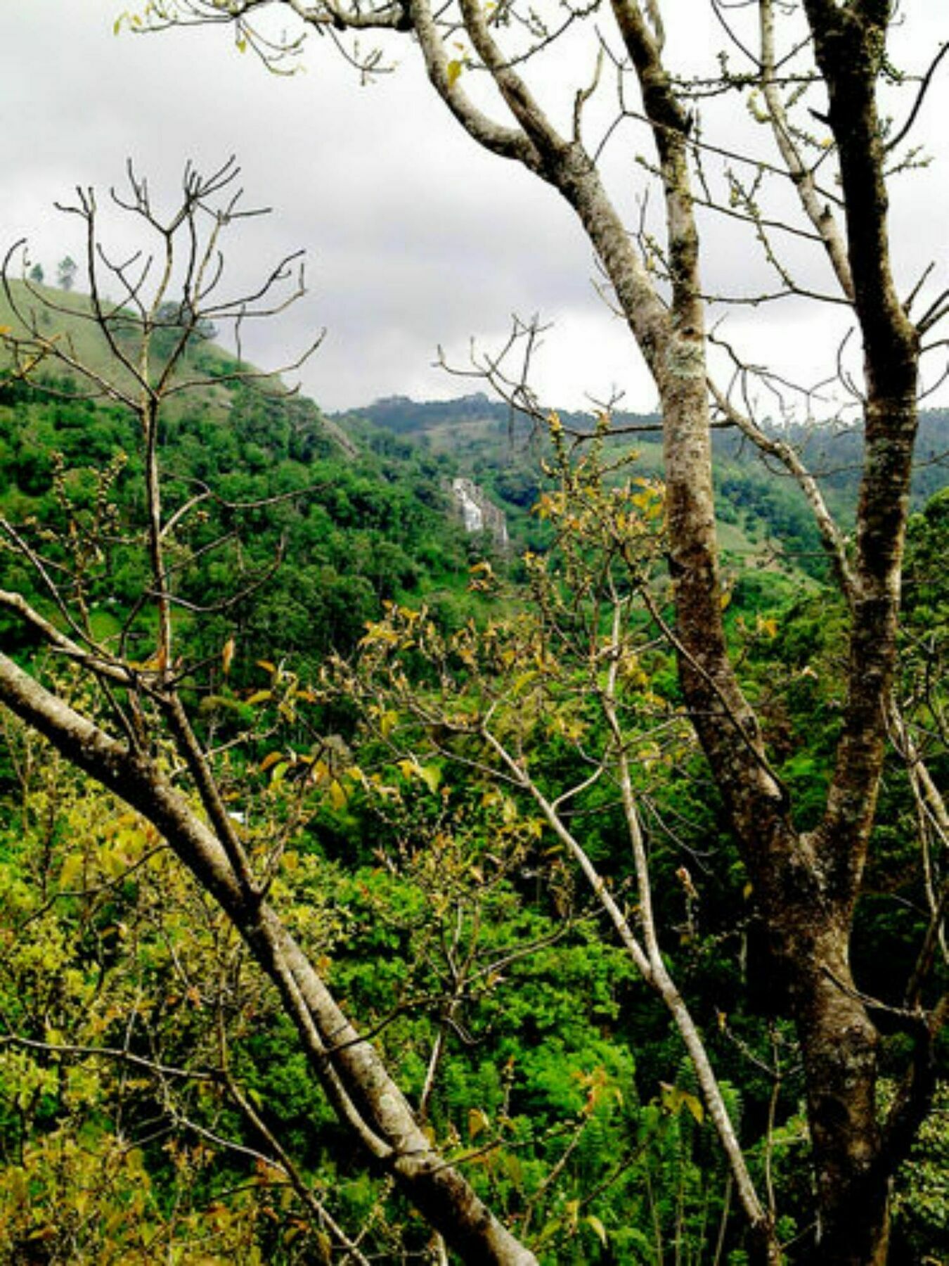Mount Blue View Guest Inn Ella Bagian luar foto