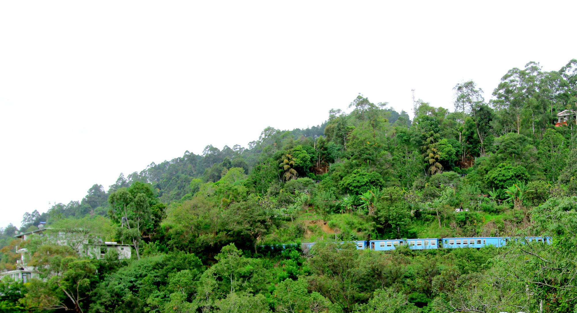 Mount Blue View Guest Inn Ella Bagian luar foto